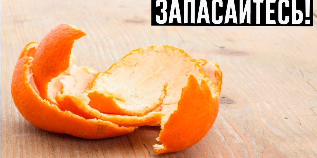 Как применять кожуру цитрусовых на огороде: удобрение растений и борьба с вредителями