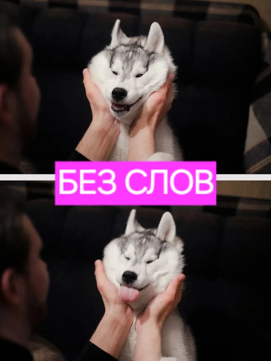 Скриншот изображения из открытых источников (Интернет). Слова мои.