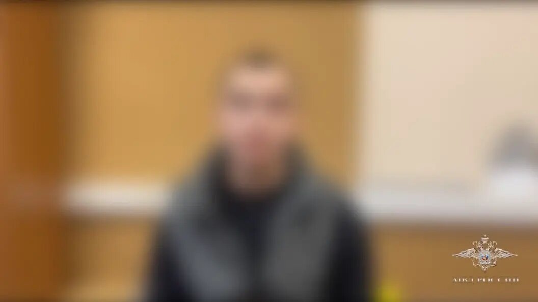    Скриншот видео/t.me/IrinaVolk_MVD/5871