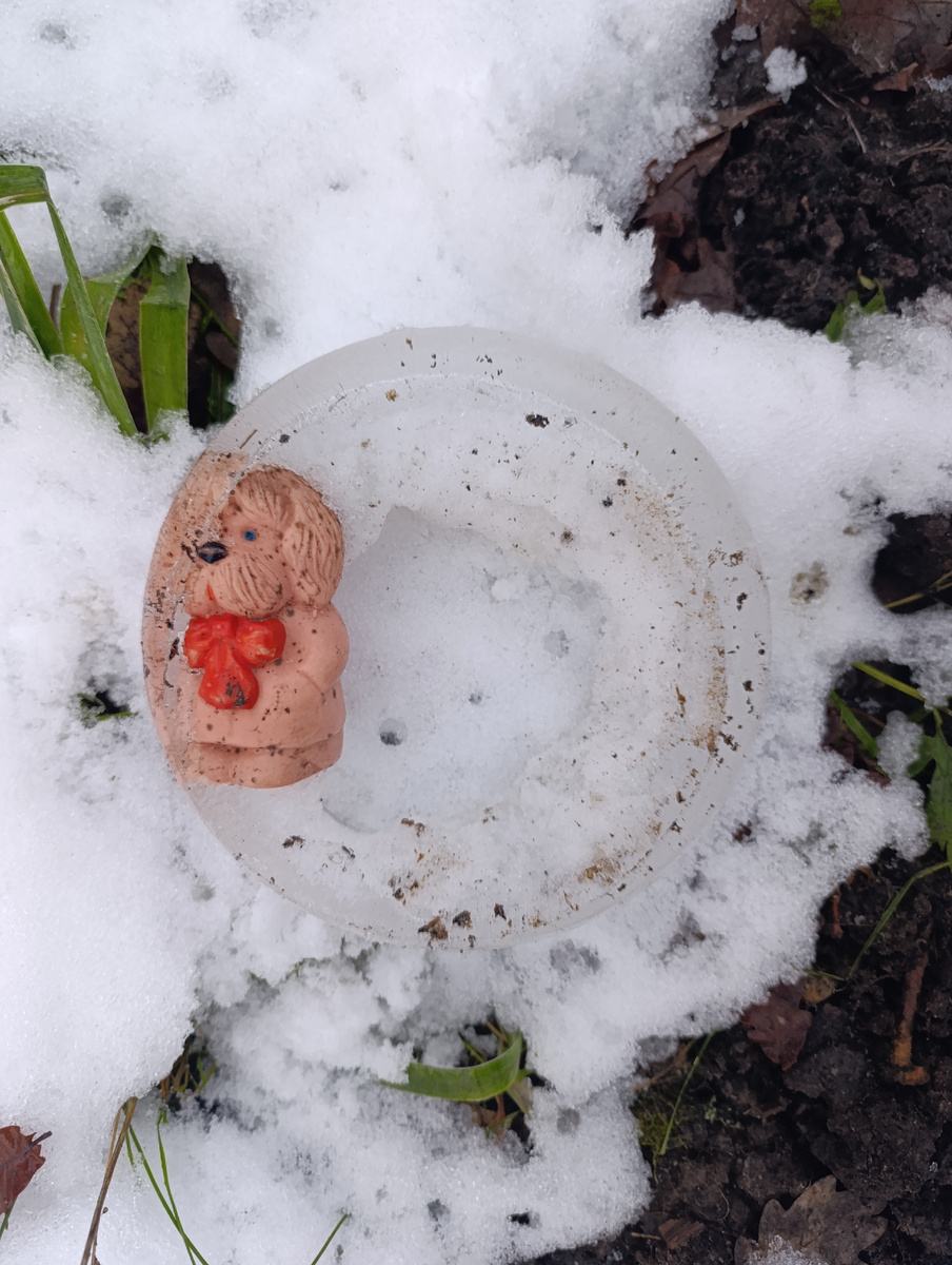 Я и мое колесо баланса 😄