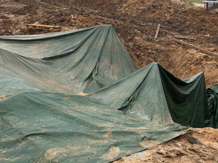 г.Чехов, ноябрь 2025