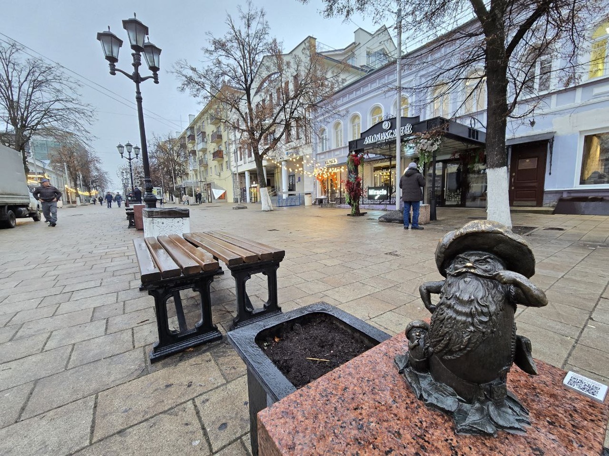 Привет, Рязань! До 1778 года этот город звали Переславль-Рязанский. Фото: Голландец в России