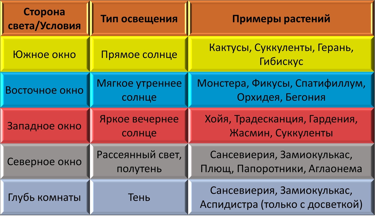 Сводная таблица примеров растений и освещения