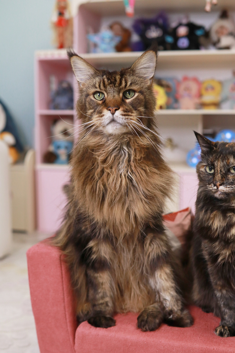  Лучик (полное имя — Лучезар)