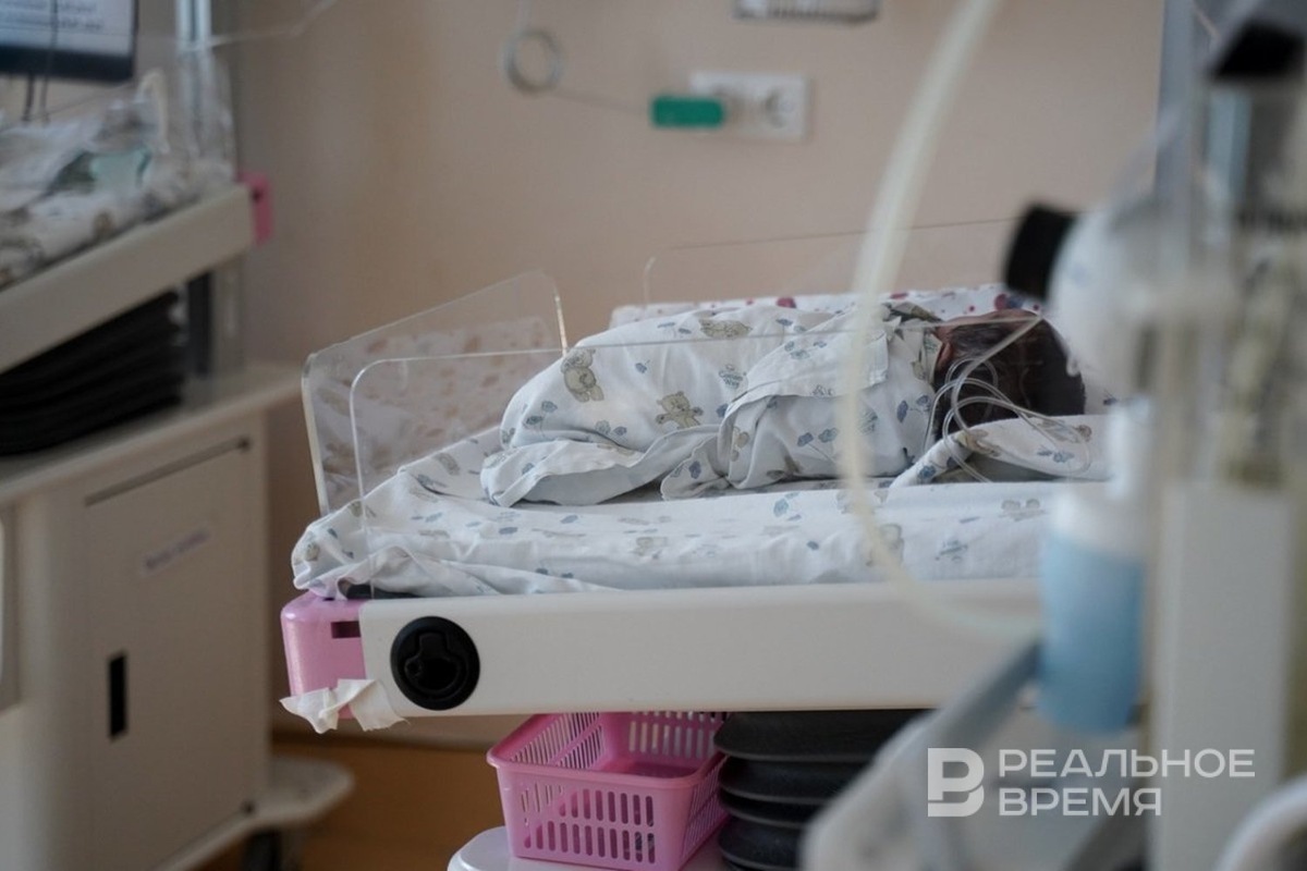   Евгения Осипова / realnoevremya.ru