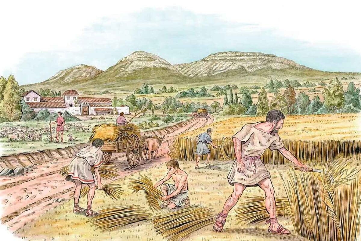    Выращивание зерновых культур позволило получить излишки продовольствия, которые можно было хранить и облагать налогом / © Science photo library, Luis Montanya, Marta Montany