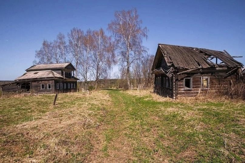 Яндекс картинки