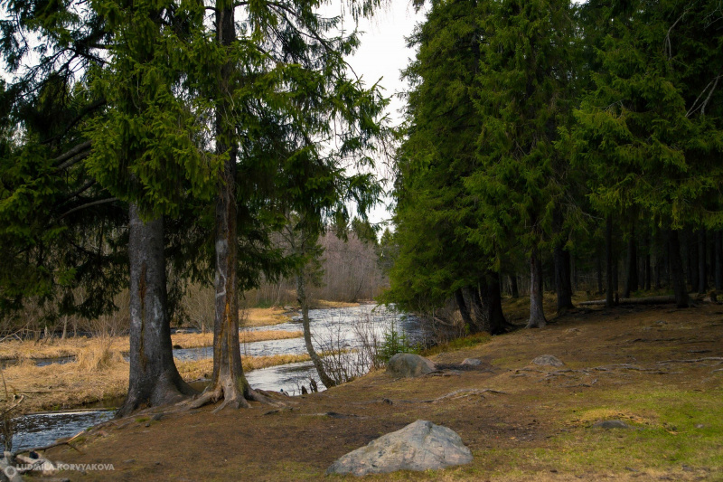    Кто и кого победил на общественных слушаниях по Кургану в ПетрозаводскеМаксим Берштейн