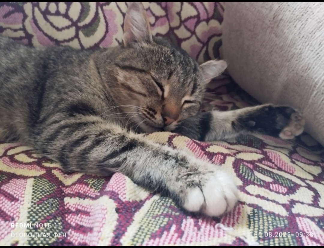 Василий спит