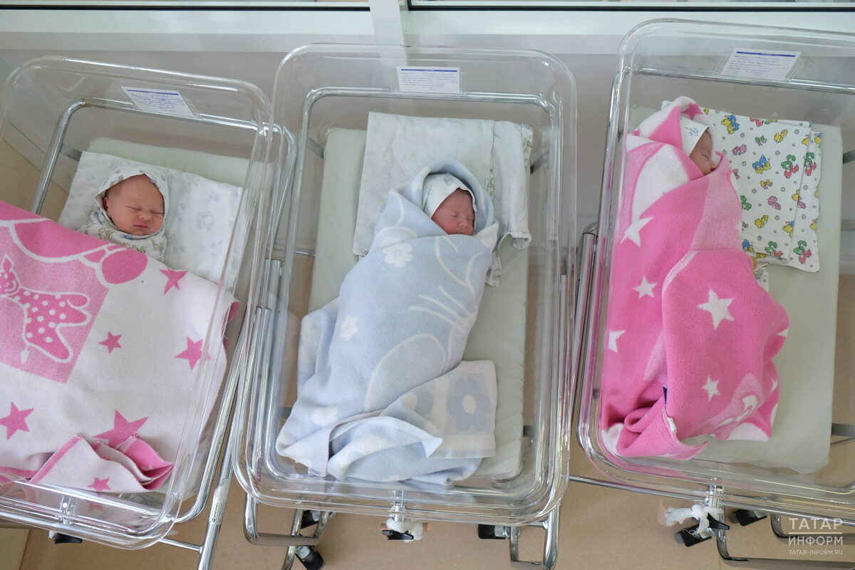 Фото: © «Татар-информ»