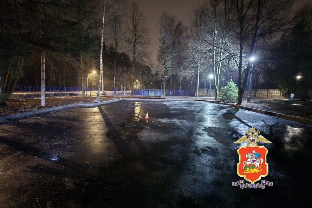    Фото © Telegram / Подмосковная полиция