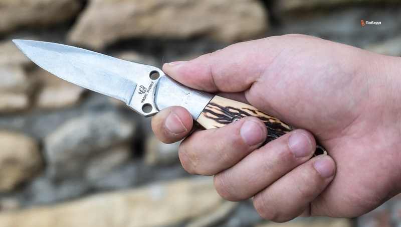      Фото: ИА «Победа26»