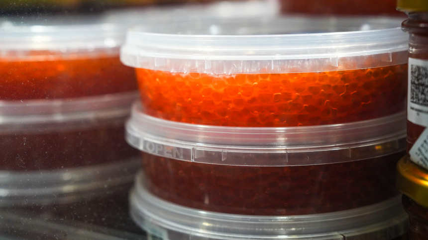    Фото: ИЗВЕСТИЯ/Дмитрий Коротаев; 5-tv.ru