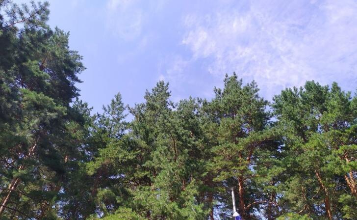    фото Курские известия