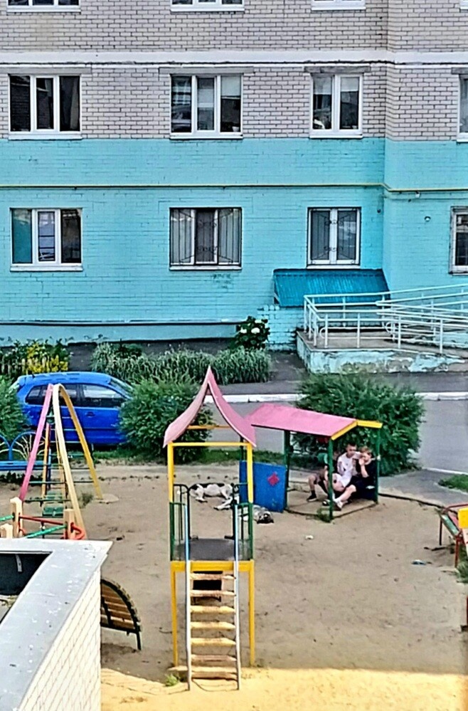 Из личного архива волонтёров г Орёл