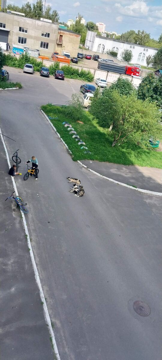 Фото из личного архива волонтёров