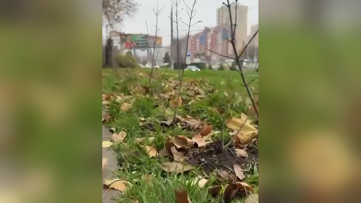    Фото t.me/emnaumov