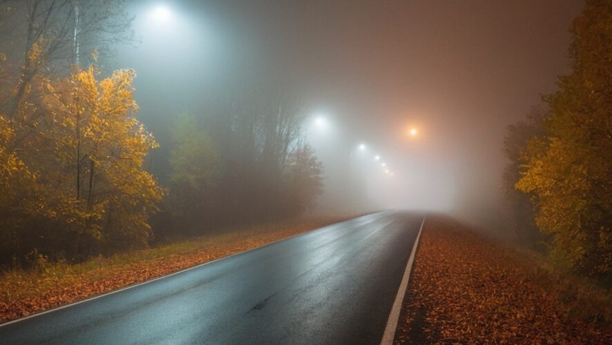    Фото: создано ИИ