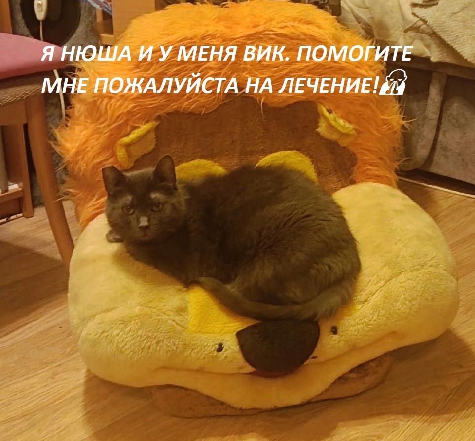 Мне постоянно нужны лекарства, чтобы не стало хуже 💊💉