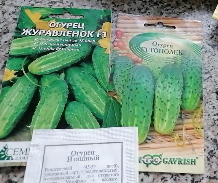 Семена старинных огурцов продают и сейчас, фото автора