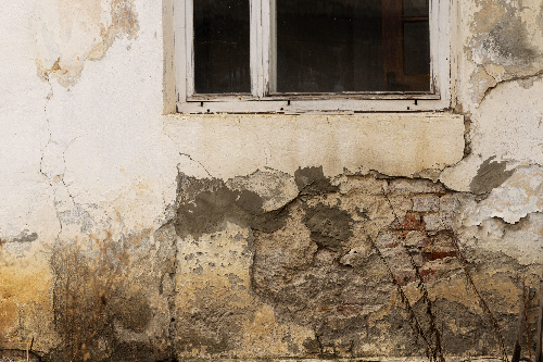    Фото: freepik. com