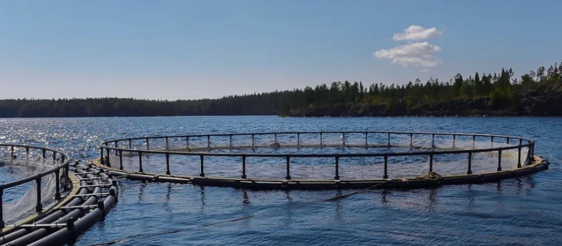    Людмила Журавлева / VK