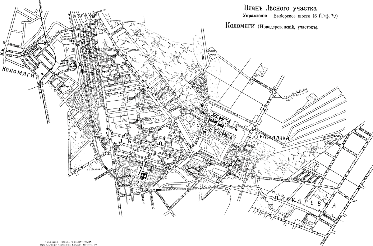 Лесной участок (исторический район), публичное достояние, источник: Википедия