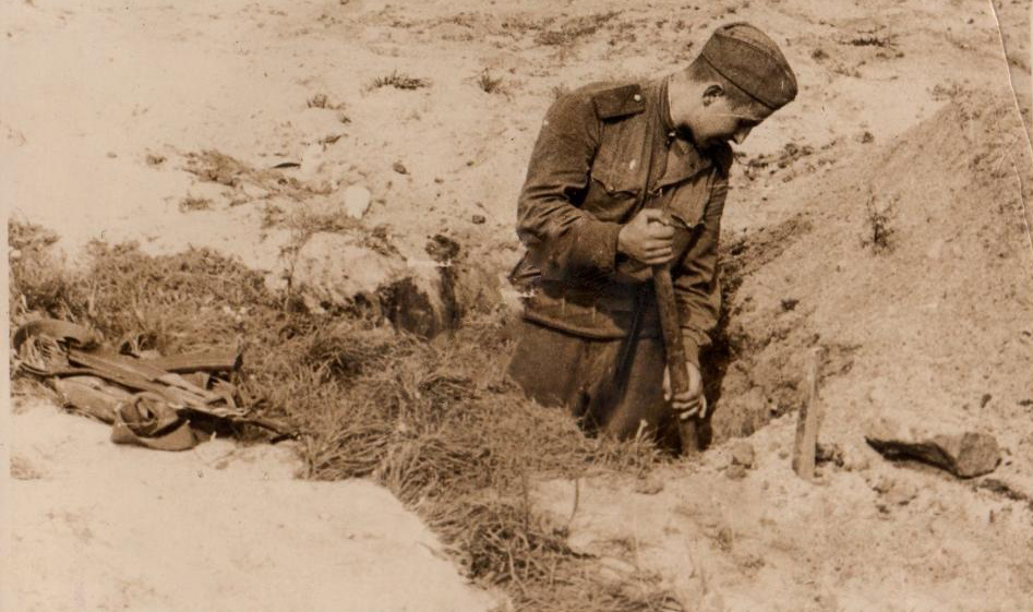 Фото из Яндекса. Спасибо автору.