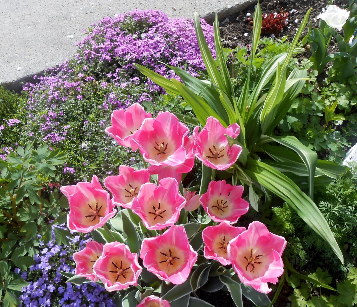 New Design 2014 год