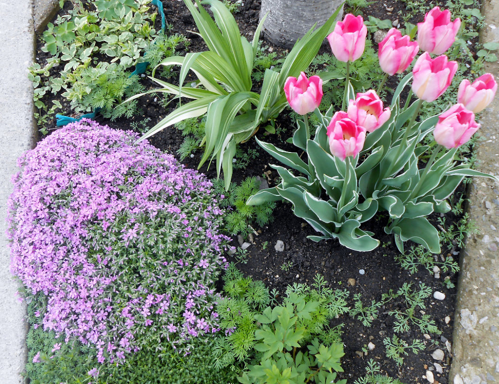 Ну, прекрасны же!