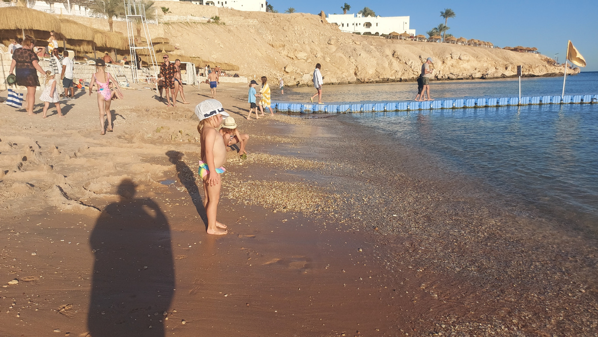  На фото ФЕВРАЛЬ 2024г.