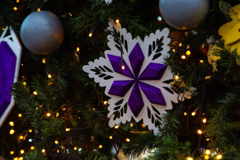    Фото: Общественная Служба Новостей Мария Спиридонова