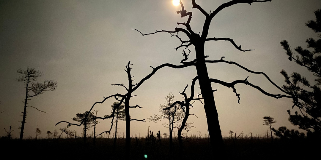 Мистическое озеро Курганистое