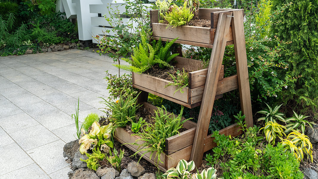 Здесь много зелени...