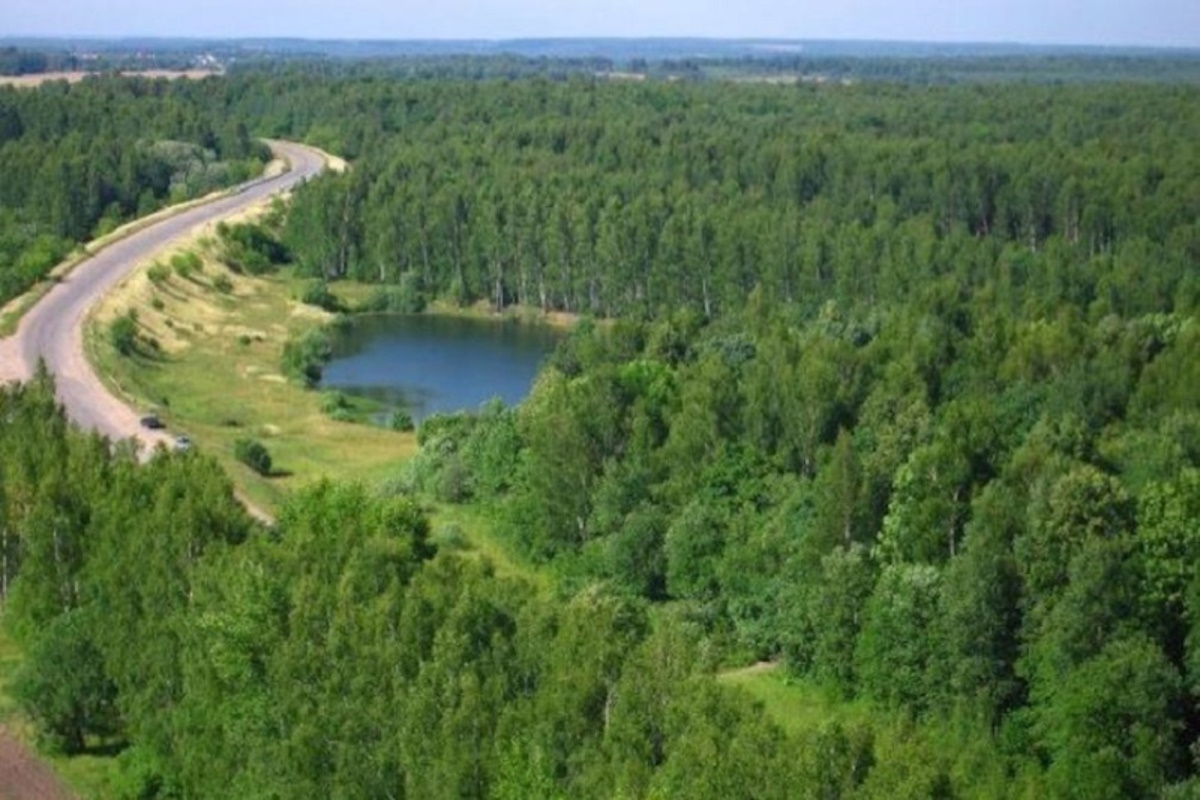    Фото: администрация Костромской области, источник: smi44.ru