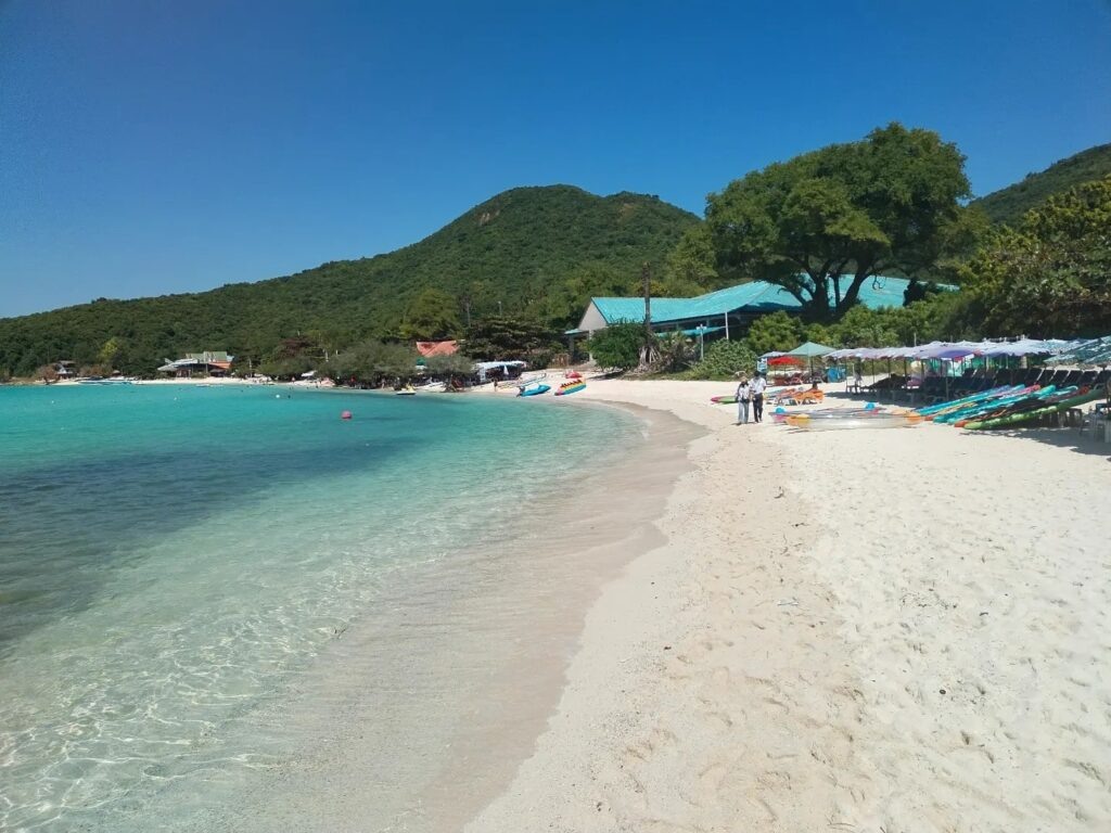    Фото: В курсе.ру Ульяна Бажанова