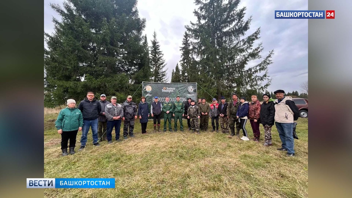    Жители Башкортостана стали самыми активными участниками акции «Сохраним лес»