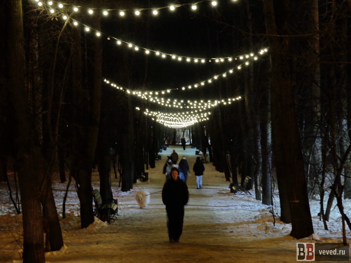     Фото: Владислав Постников / Вечерние ведомости