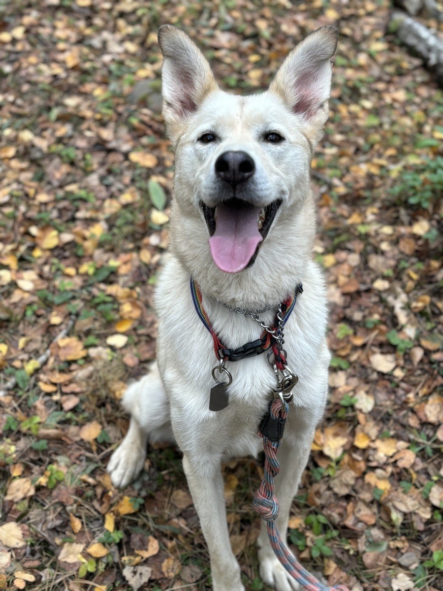 Я приготовился