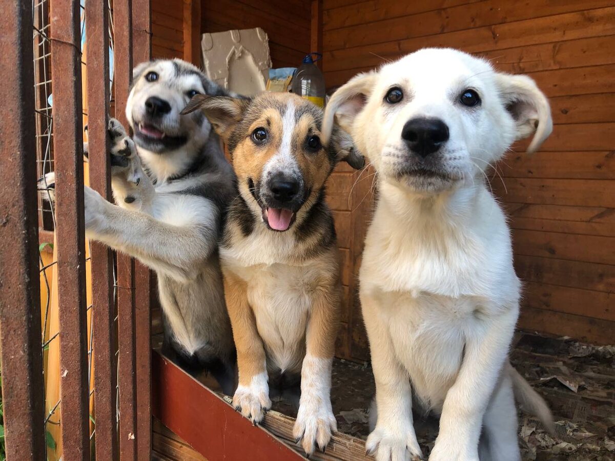 Я всегда был красавчиком!