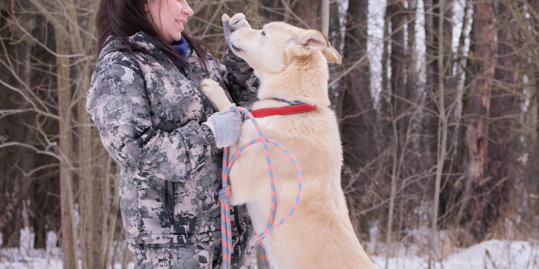 Мой Реми: История одного расставания и обретения, и которая научила меня отдавать