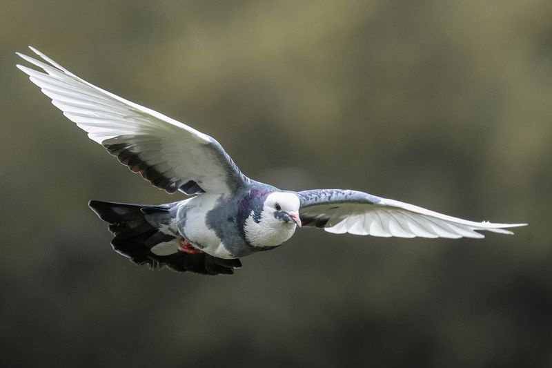    Сергей Булкин/NEWS.ru