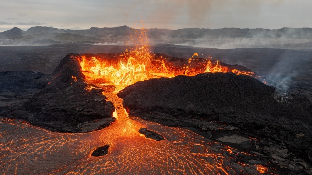     Фото: Lukas Gojda/Shutterstock/FOTODOM