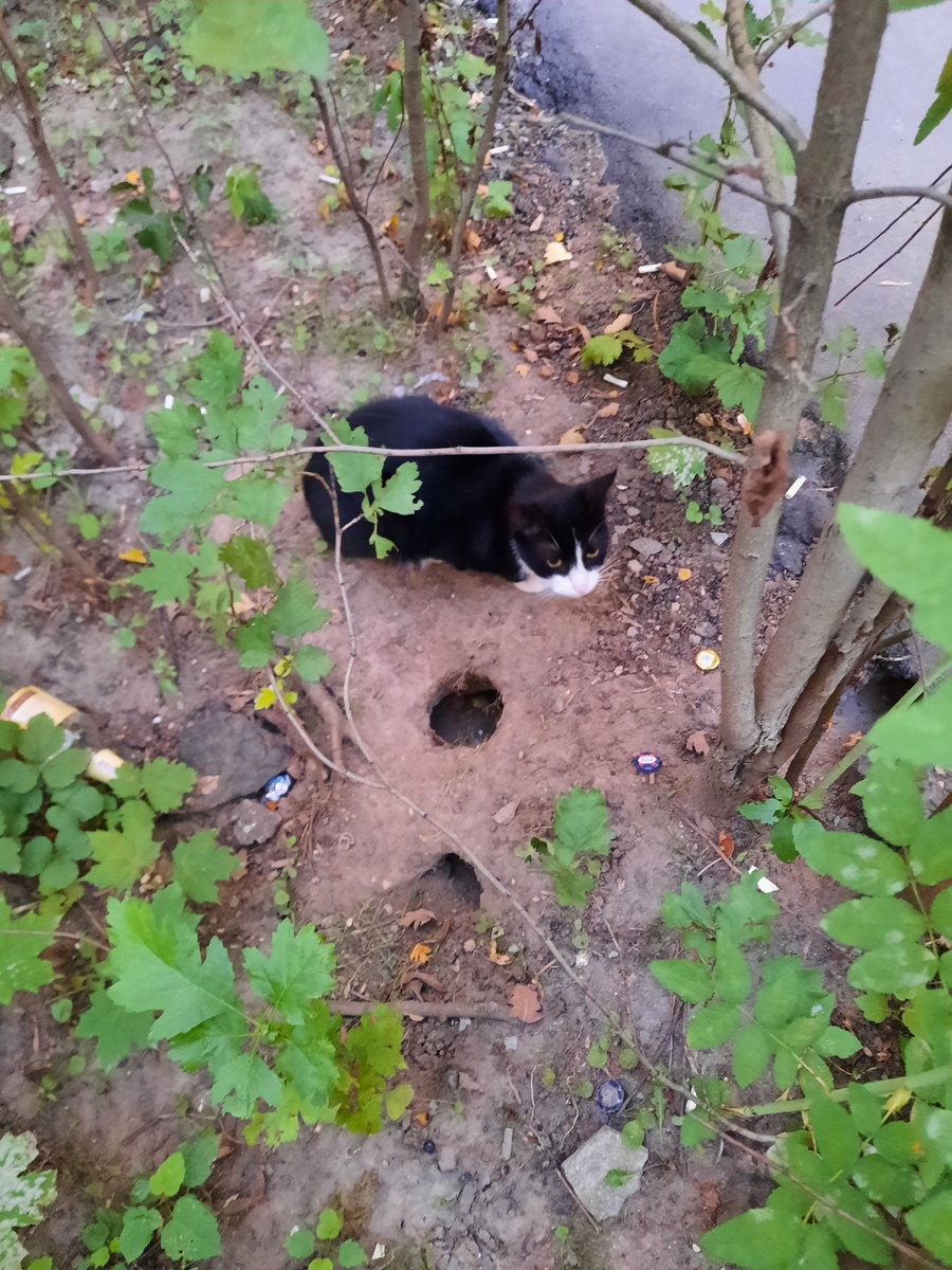 Такой бы растерянный и не знал что делать