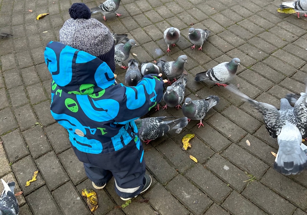 Одно из любимых занятий на прогулке