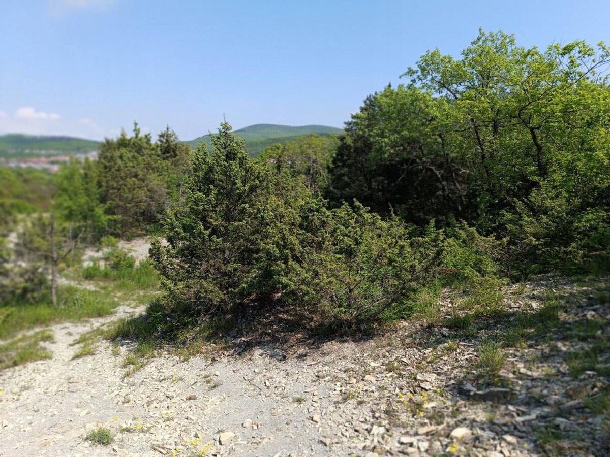 Фото: пресс-служба администрации Новороссийска