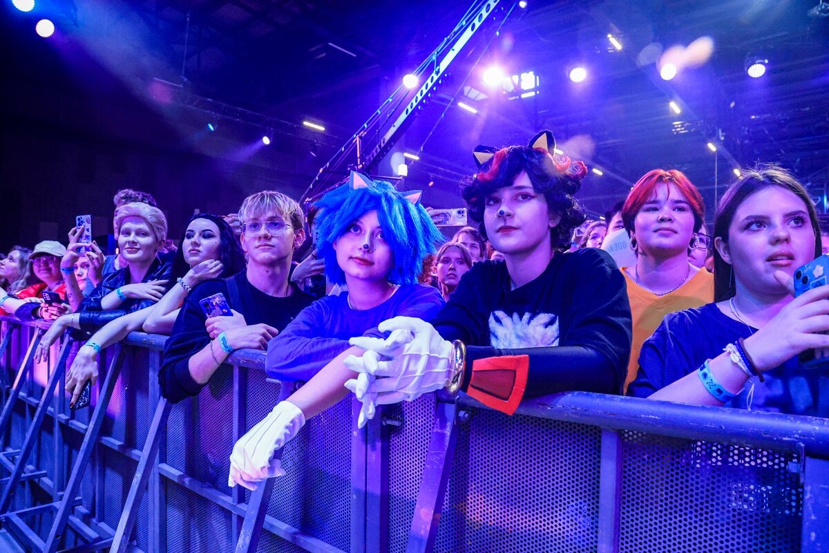 Фото из открытого источника