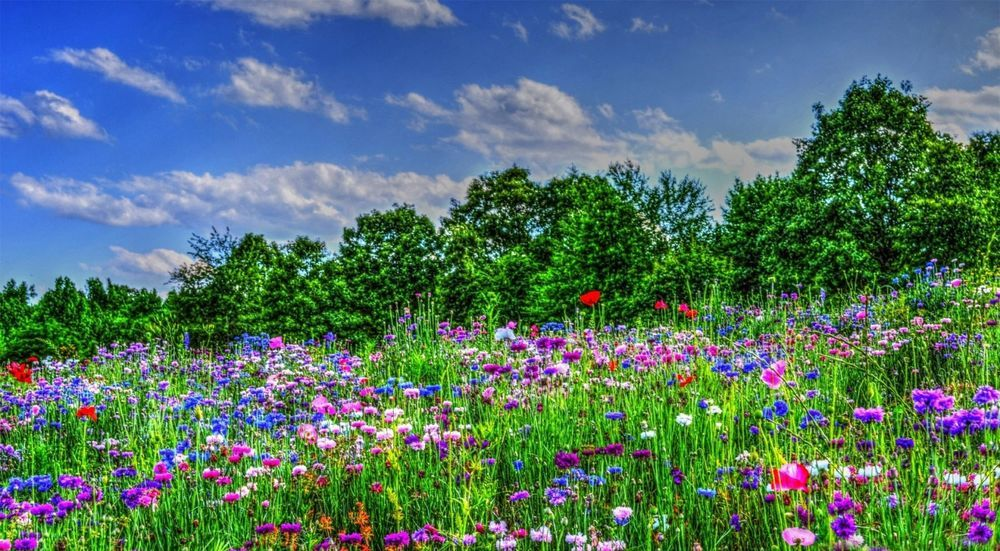 из открытого доступа