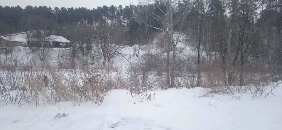    Место, где прятался обвиняемый. Источник: прокуратура Алтайского края и СУ СКР по Алтайскому краю