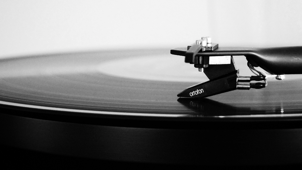 Кадр: Adrian Korte (unsplash.com)